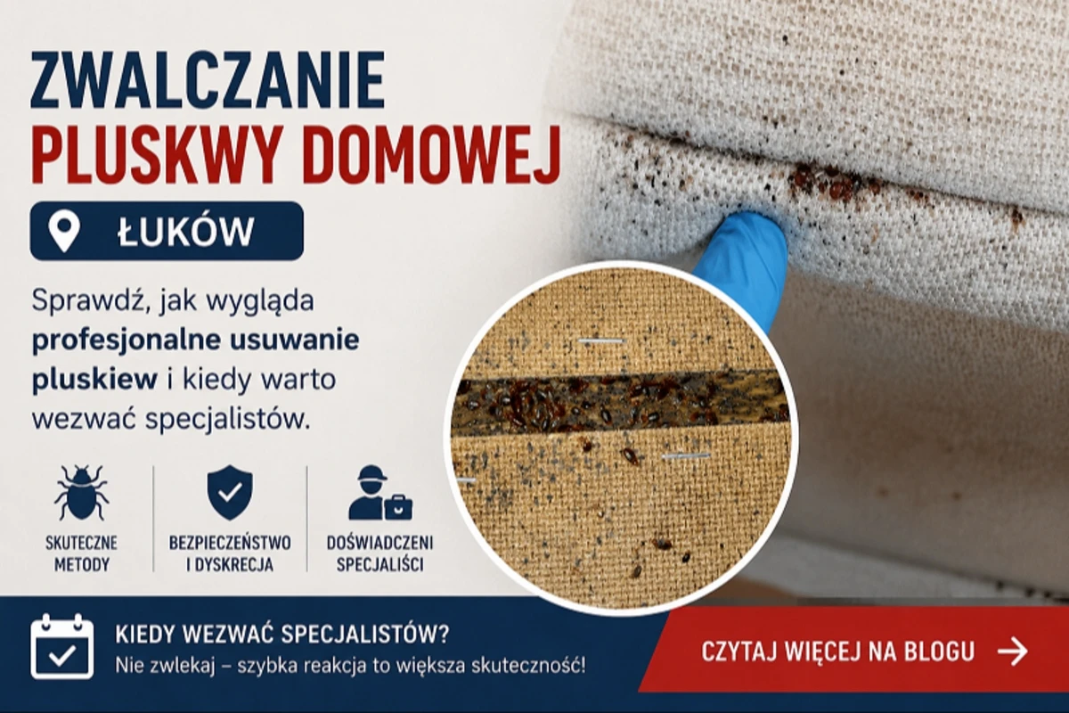 Dezynsekcja Łuków - skuteczne zwalczanie pluskiew, prusaków i karaluchów - DDD Robak Team