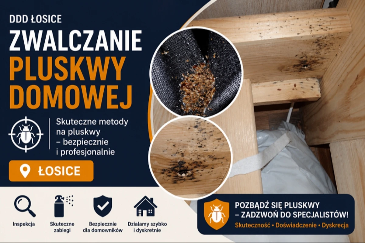 Dezynsekcja Łosice 24h - Skuteczne Zwalczanie Pluskiew - DDD Robak Team
